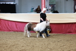 SBM_17323