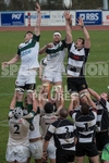 Rugby_Guernsey v Sutton  Epsom-25