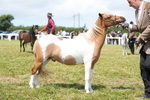 DSC06592
