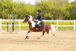 SBM_003723