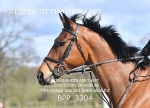 16TH APRIL 2024 - TUESDAY SHOW Senior British Show Jumping Cat 2 - MUIRMILL EC portfolio
