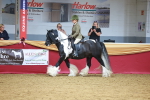 SBM_06266