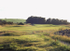 Nairn 5th Tee to Green