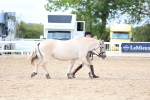SBM_03917
