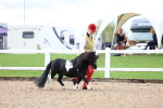 SBM_00252
