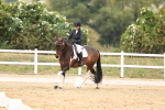 SBM_01698