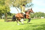 SBM_42972