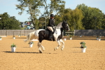 SBM_16588