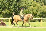 SBM_67402