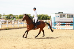 SBM_003345
