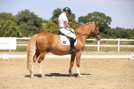 SBM_004908