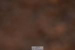240628A-202956-01308