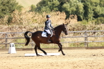 SBM_001379