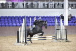 SBM_003388