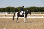 SBM_006508