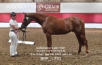 BPP_1252