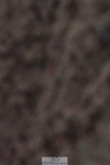 231104A-120324-00360