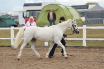 SBM_08495