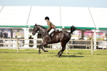 SBM_19257