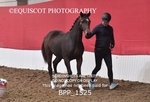 BPP_1525