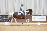 SBM_009451