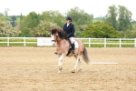 SBM_006447