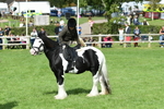 SBM_46981