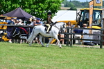 SBM_13980