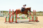 SBM_006215