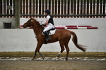 Indoor SJ & XC Jumps portfolio