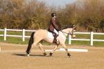 SBM_000748