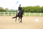 SBM_006952