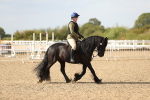 SBM_06855