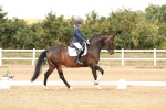 SBM_001995