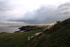 Windswept Hill_ S001