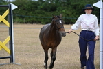 WJ6_8067