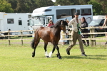 SBM_02200