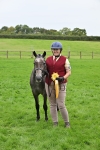 S50 - Show Pony & Show Hunter Pony In Hand portfolio