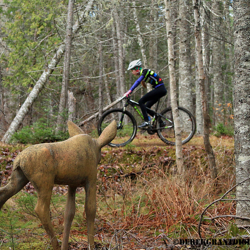 Cyclo Cross Weekend @ Animaland in Penobsquis, NB