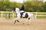 SBM_004131