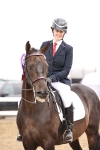 Class 54 - Riding Club Horse Pony portfolio