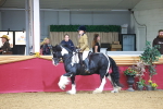 SBM_06284