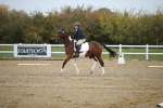 SBM_000355