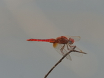 P1045854