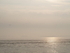 P12308960981
