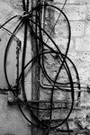 Still Life (Tel Aviv) #20