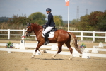 SBM_001463