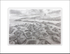 Graphite Drawing #2