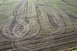 Tractor tracks in the fields