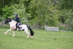WJ6_3479